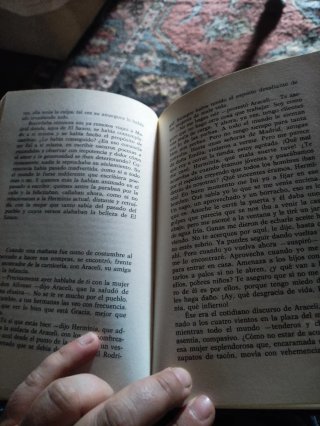 Días del Arenal. Soledad Puértolas (Ed.planeta)