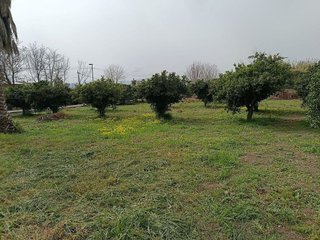 Terreno en venta en Nonduermas en Murcia