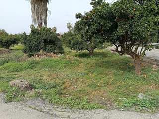 Terreno en venta en Nonduermas en Murcia