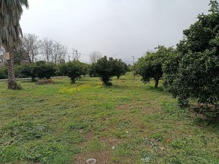 Terreno en venta en Nonduermas en Murcia