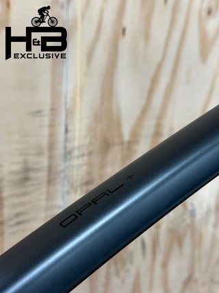 Diamant Opal+ Shimano Nexus 2022