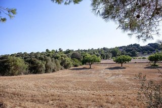 Casa rural en venta en Manacor Centro en Manacor