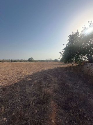 Terreno en venta en Santanyí