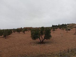 Terreno en venta en Quintanar de la Orden
