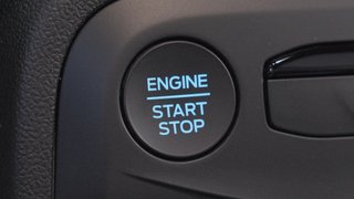 Ford Focus ST-Line X 1.5 EcoBlue 85kW (115CV) AT SB