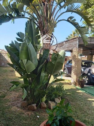 Chalet en venta en Ctra de La Playa - La Coquina en Chiclana de la Frontera