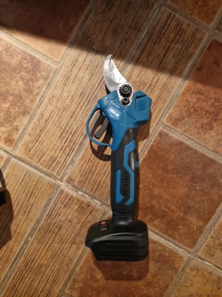 Tijeras podar y mini motosierra con pértiga
