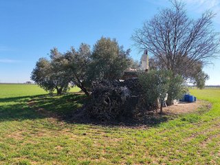 Terreno en venta en Manzanares