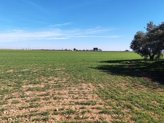 Terreno en venta en Manzanares