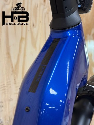 Flyer Gotour 7.12 XC Shimano Cues 2024
