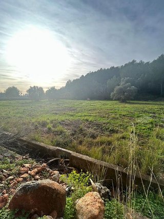 Terreno en venta en Urbanizaciones- Santa Ana- Las Estrellas en Gandia