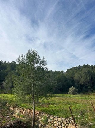 Terreno en venta en Urbanizaciones- Santa Ana- Las Estrellas en Gandia