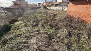 Terreno en venta en Álamo (El)
