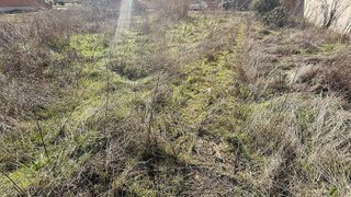 Terreno en venta en Álamo (El)