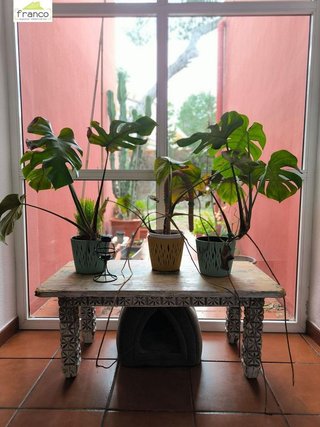 Chalet en venta en Altorreal en Molina de Segura