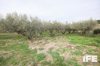 Casa rural en venta en Corella