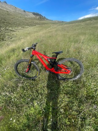 Orbea Rallon
