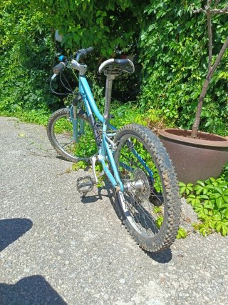 Bicicleta infantil azul