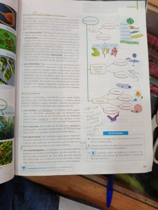 Biología y geología 1 Bachillerato