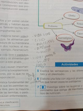 Biología y geología 1 Bachillerato