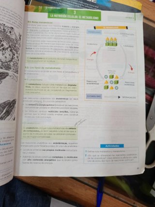 Biología y geología 1 Bachillerato