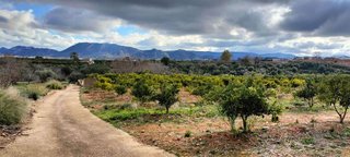 Terreno en venta en Rotglá y Corberá