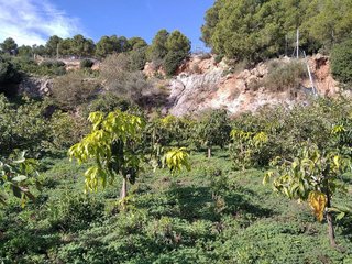 Terreno en venta en Gualchos pueblo en Gualchos