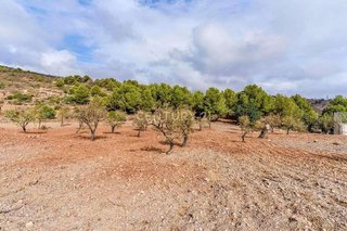 Terreno en venta en Gualchos pueblo en Gualchos