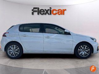 Peugeot 308 5P Business Line BlueHDi 100 S&S 6V MAN