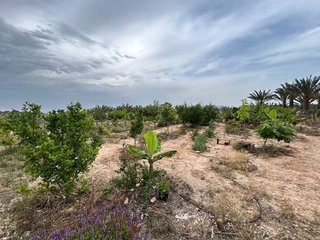 Terreno en venta en Albatera