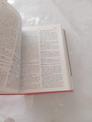 Diccionario Latín español SM