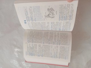 Diccionario Latín español SM