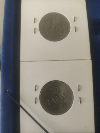 Lotteria di 2 monete della Nigeria da 10 Kobo del 1973