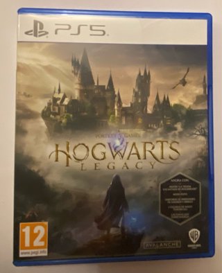 Hogwarts Legacy PS5