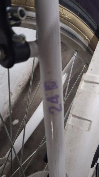 Bicicleta Paseo Talla 24