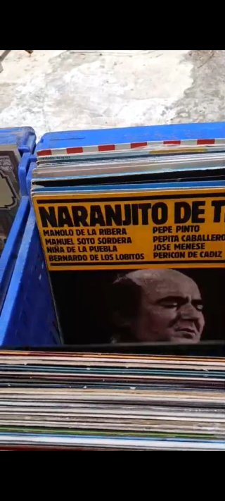 260 Vinilos