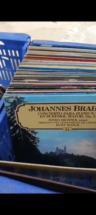 260 Vinilos
