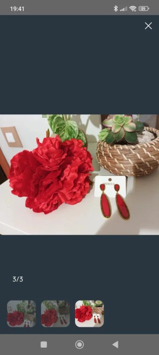 Flor Roja y Pendientes Dorados