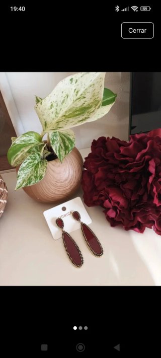 Flor Roja y Pendientes Dorados