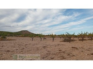 Terreno en venta en Yecla