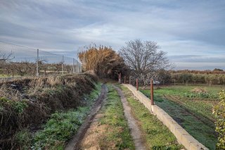 Terreno en venta en Zubia (La)
