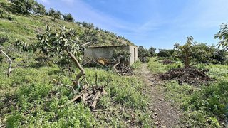 Casa en venta en Camino Algarrobo - Las Arenas en Vélez-Málaga
