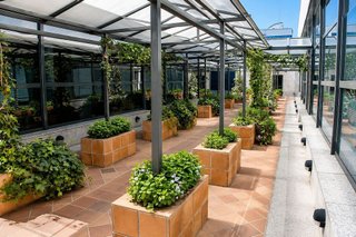 Oficina en alquiler en Parque Empresarial en Rozas de Madrid (Las)