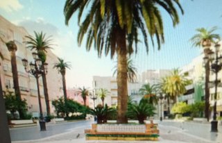 Casa adosada en venta en La Línea de la Concepción ciudad en Línea de la Concepción (La)