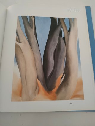 Libro Georgia O' Keeffe, pionera del modernismo