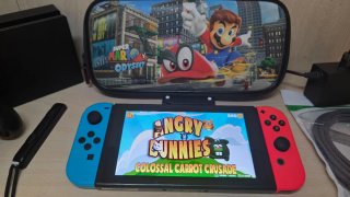 Nintendo Switch Console + Accessori