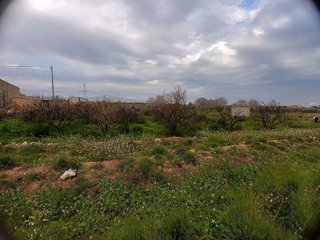 Terreno en venta en Este en Castellón de la Plana
