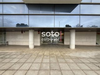Oficina en venta en Zona Avda. Juan de Diego - Parque Municipal  en Bormujos