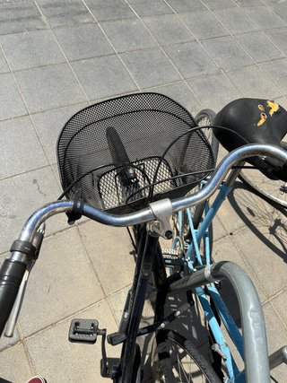 Bicicleta Holandesa Gazelle Primeur