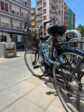 Bicicleta Holandesa Gazelle Primeur